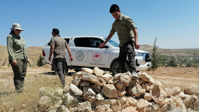 Urfa'da Kınalı Keklik Avına İzin Yok