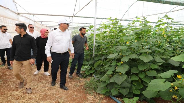 Urfa’da Sera Kent'te alternatif tarım teknikleri geliştiriliyor!