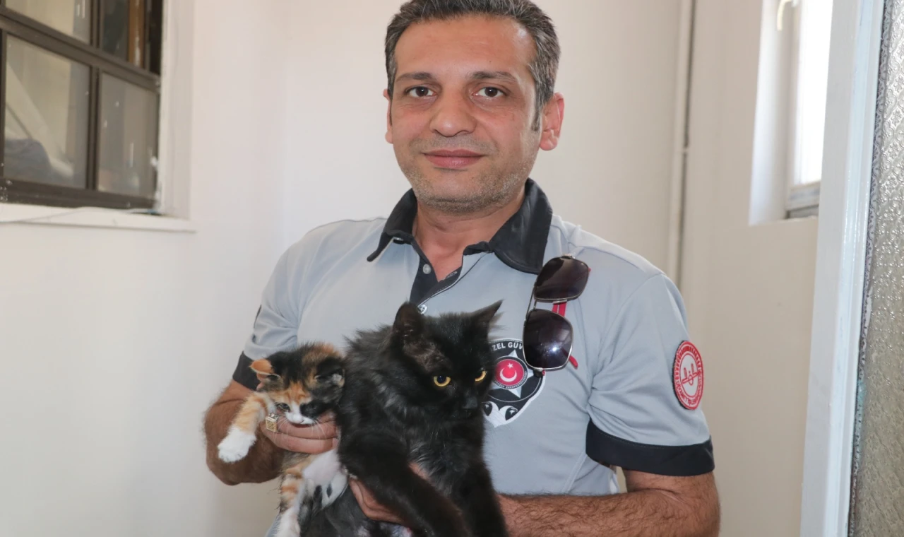 Müftülük Personeli, Doğumunu Yaptırdığı Kedi ve Yavrularını Sahiplendi