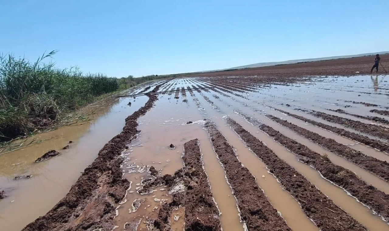 Suruç’ta çiftçilerin tarlasını su bastı