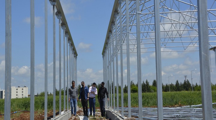 Viranşehir'de seracılık gelişiyor