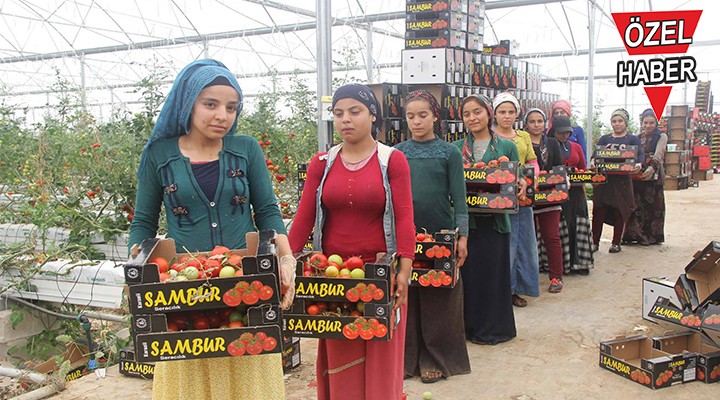 Karaali’de jeotermal yatırımın önü açılıyor