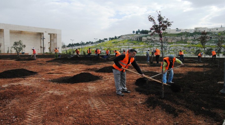 Haleplibahçe parkı bahara hazır