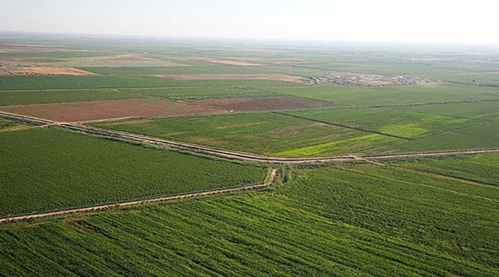 Şanlıurfa ovaları yine korumasız kaldı