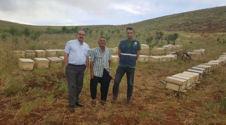 Bal Ormanı Projesi'nde hayat var