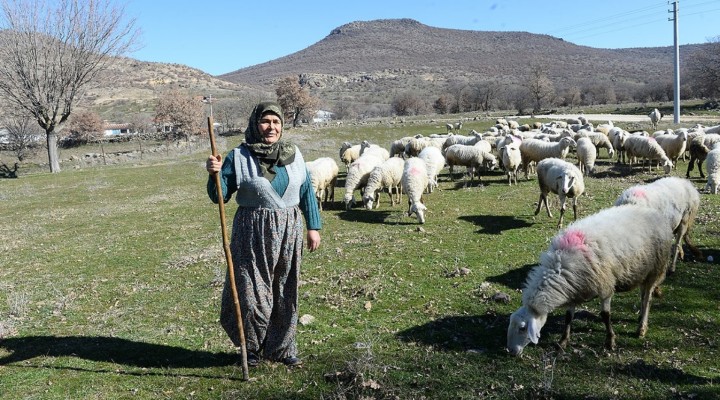 Kadın girişimci köyüne dönüp 'çiftlik sahibi' oldu