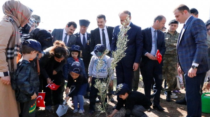 Urfa'da Afrin şehitleri için fidan dikildi