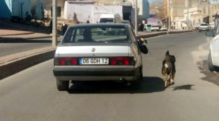 Urfa'da vicdansız sürücü