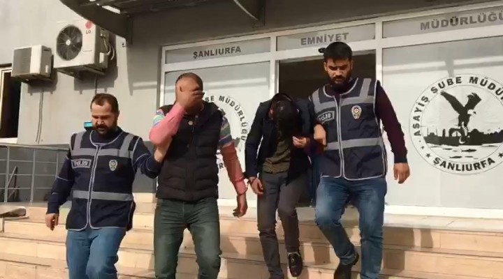 Şanlıurfa’da dolandırıcılığa 2 tutuklama