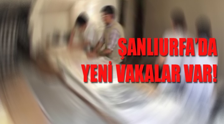 Şanlıurfa'da ekmek fırını karantinaya alındı!