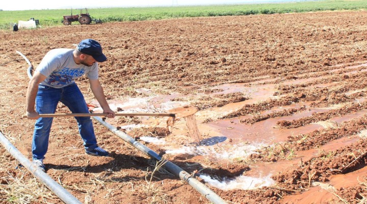 Şanlıurfa çiftçisine kötü haber