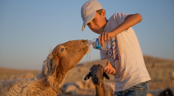 Urfalı çobanları İşleri zor ama iftar ve sahurları keyifli