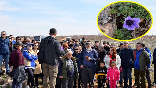 Mezopotamya Sümbülü yürüyüşü yapıldı