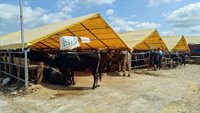 Satılamayan Kurbanlıkları O Kurum Alacak