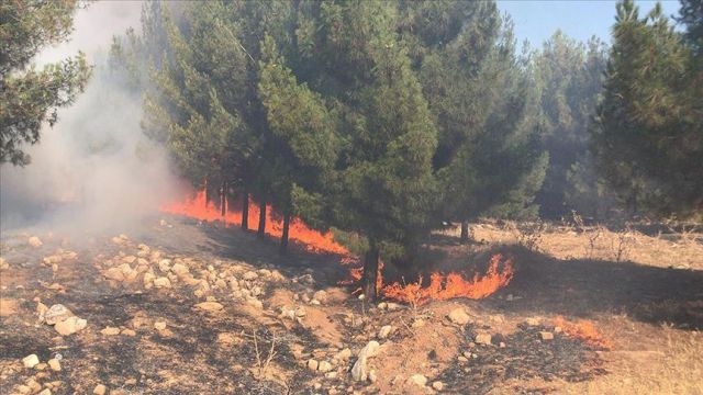 Urfa'da otluk alanda çıkan yangın söndürüldü