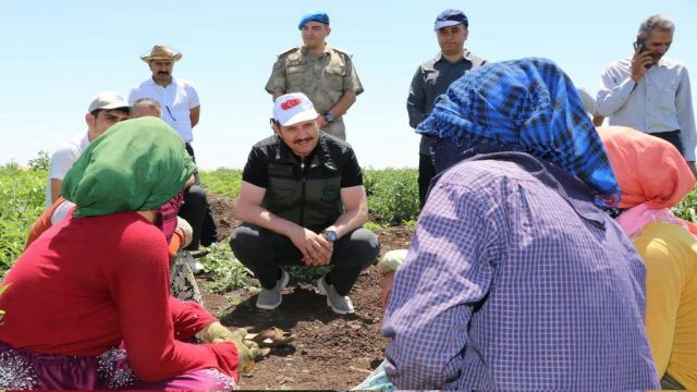 Vali Ayhan’ın Gündeminde Turizm Vardı