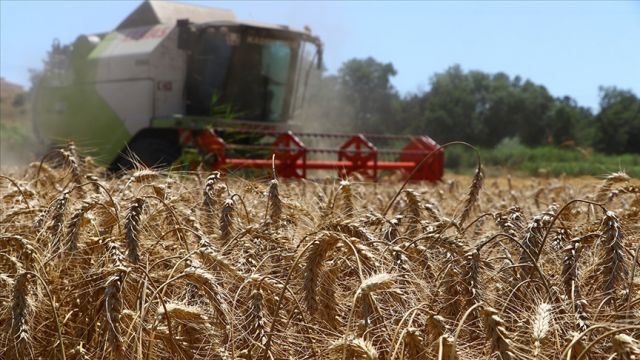 756,6 milyon liralık tarımsal destek ödemeleri bugün yapılacak