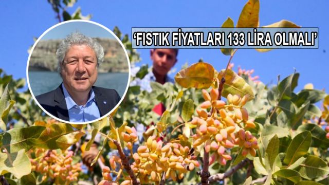 Melik: Bu Yıl Fıstık Rekoltesi Düşük Olacak