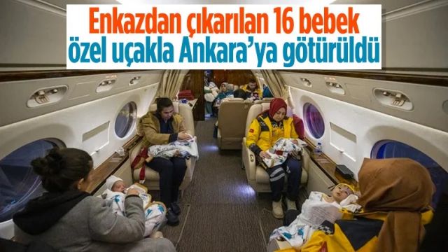 16 bebek, Ankara'ya getirilerek koruma altına alındı