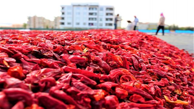 Şanlıurfa'nın ithalat ve ihracat rakamları belli oldu