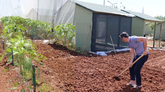 Urfa'da isot fideleri toprakla buluştu