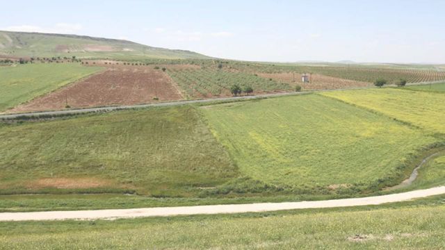 Destek ödemeleri çiftçilerin hesabına aktarılıyor