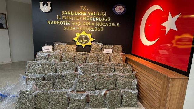 Şanlıurfa’da 55 kilo 750 gram skunk ele geçirildi