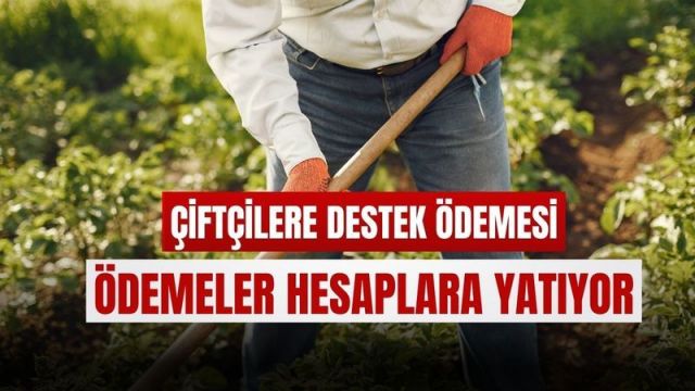 Tarımsal destek ödemleri bugün hesaplara yatıyor