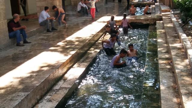 Urfa’da her yaz ortaya çıkan görüntüler!