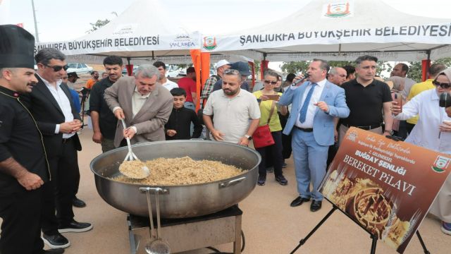 Beyazgül Buğdayın atası Urfadadır! 