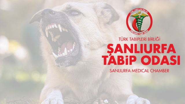 Şanlıurfa Tabipler Odasından Kuduz Açıklaması