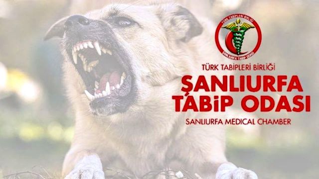 Şanlıurfa Tabip Odası’ndan kuduz vakalarına ilişkin açıklama!