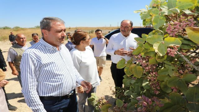 Urfa Valisi Şıldak'tan hem gezi hem inceleme!