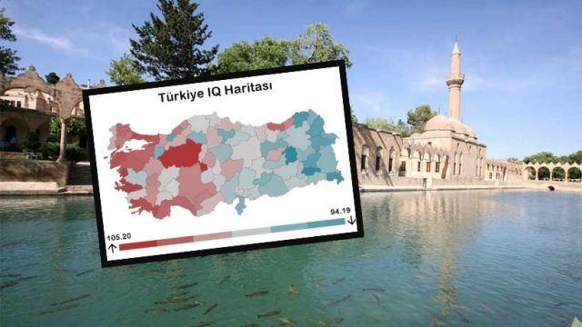 Urfa’nın Zekâ Seviyesi Son Sıralarda Kaldı