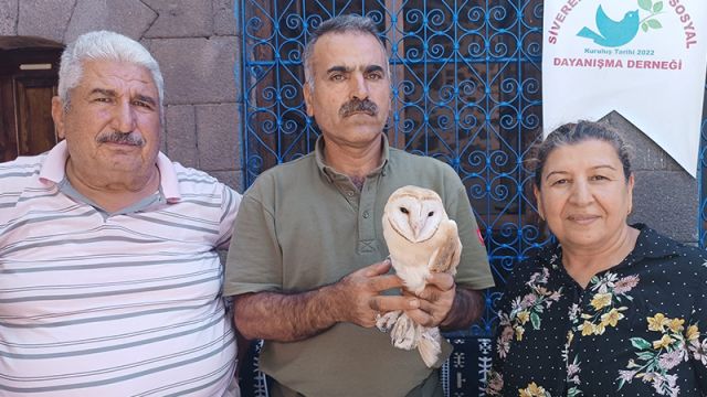 Hayvan severler tarafından bitkin halde bulunan baykuş tedavi altına alındı