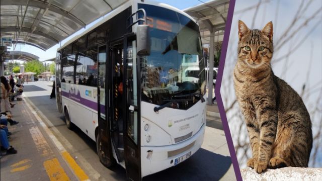 Otobüste evcil hayvan tartışması