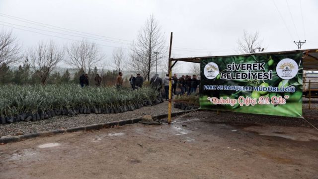 Siverek Belediyesi’nden çiftçilere meyve fidanı desteği