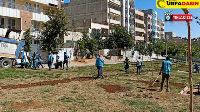 Eyyübiye’de yeşil alanların bakım ve onarımı sürüyor