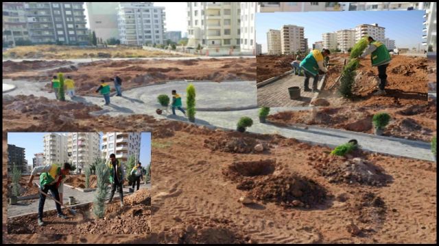 Karaköprü’de ağaçlandırma çalışmaları devam ediyor