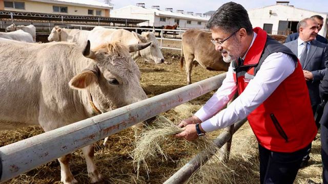 Depremzede yetiştiricilere canlı hayvan ve kovan desteği yapıldı