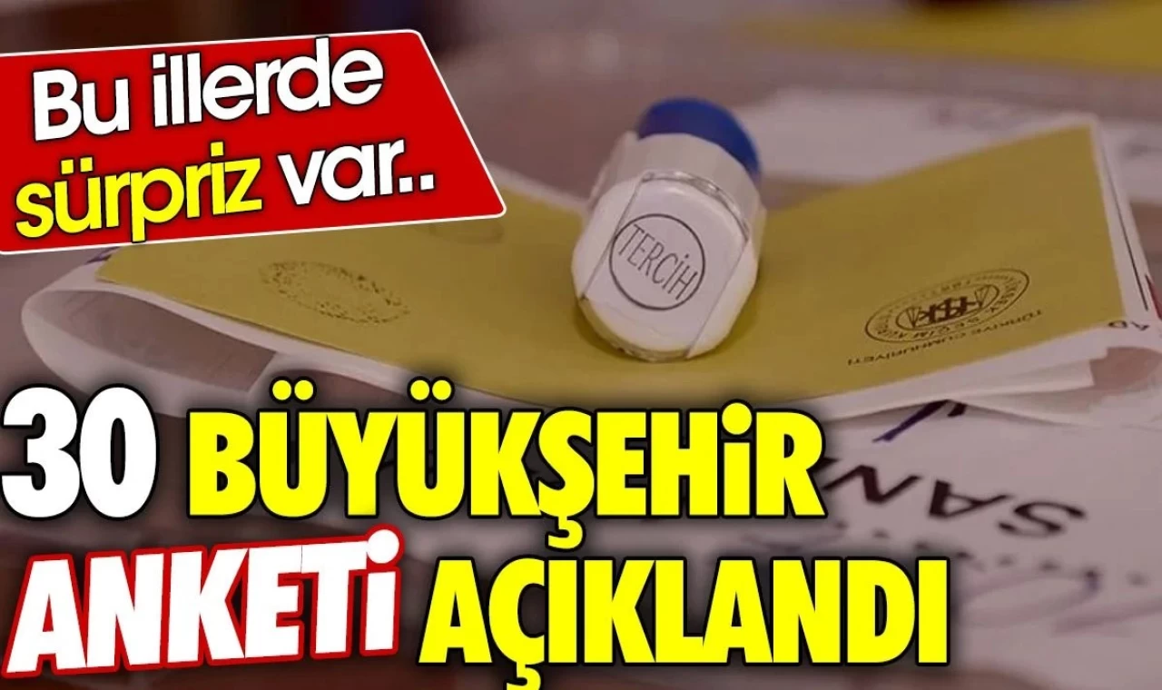 30 büyükşehir anketi açıklandı