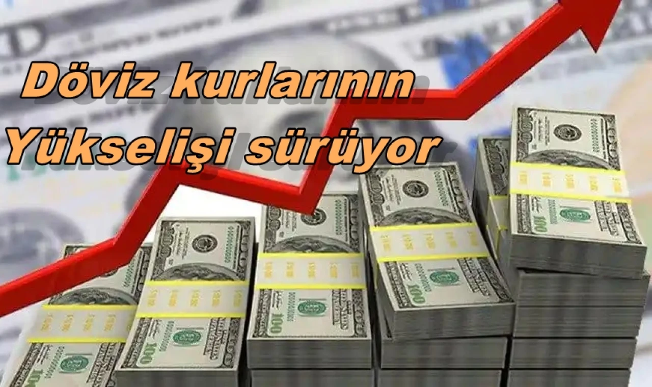 Döviz kurlarının yükselişi sürüyor