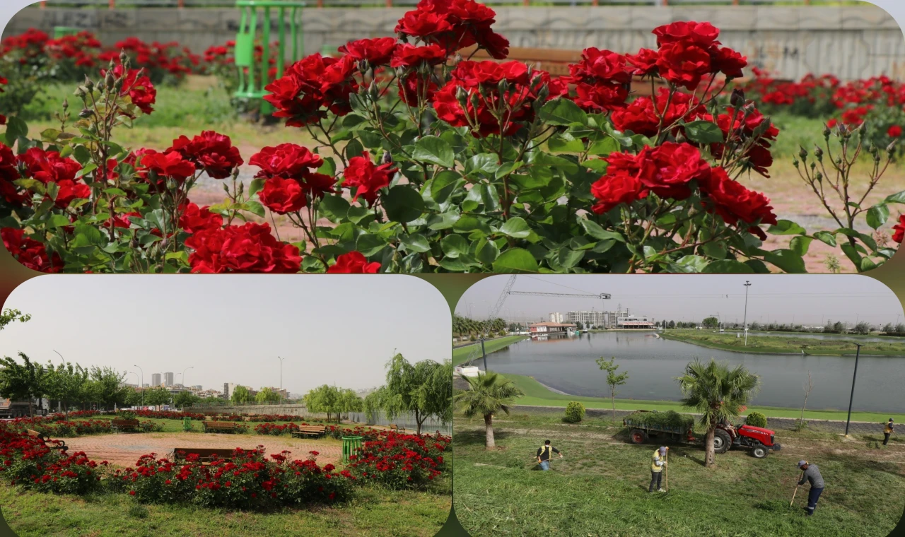 Şanlıurfa'da Park Ve Bahçeler Çiçeklerle Süslendi