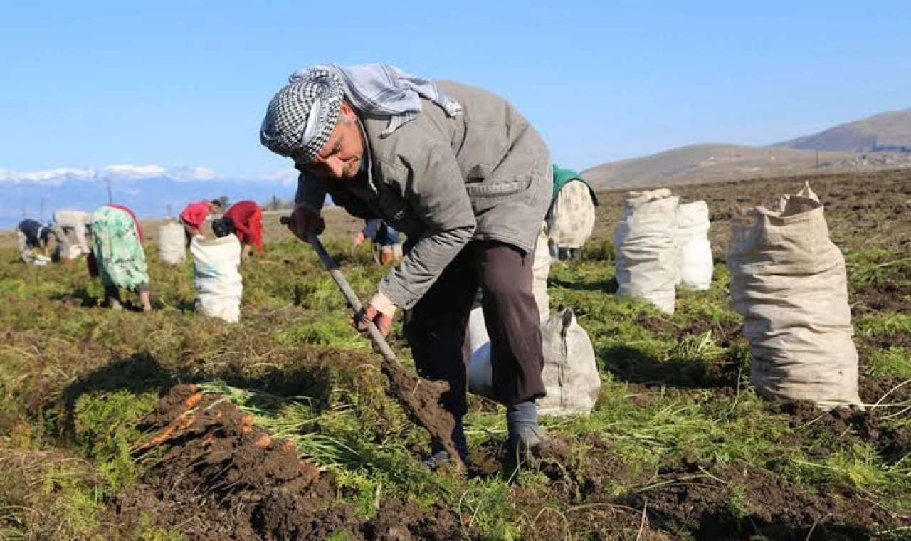 Yeni Genelge, Mevsimlik Tarım İşçilerini Sevindiren Haber