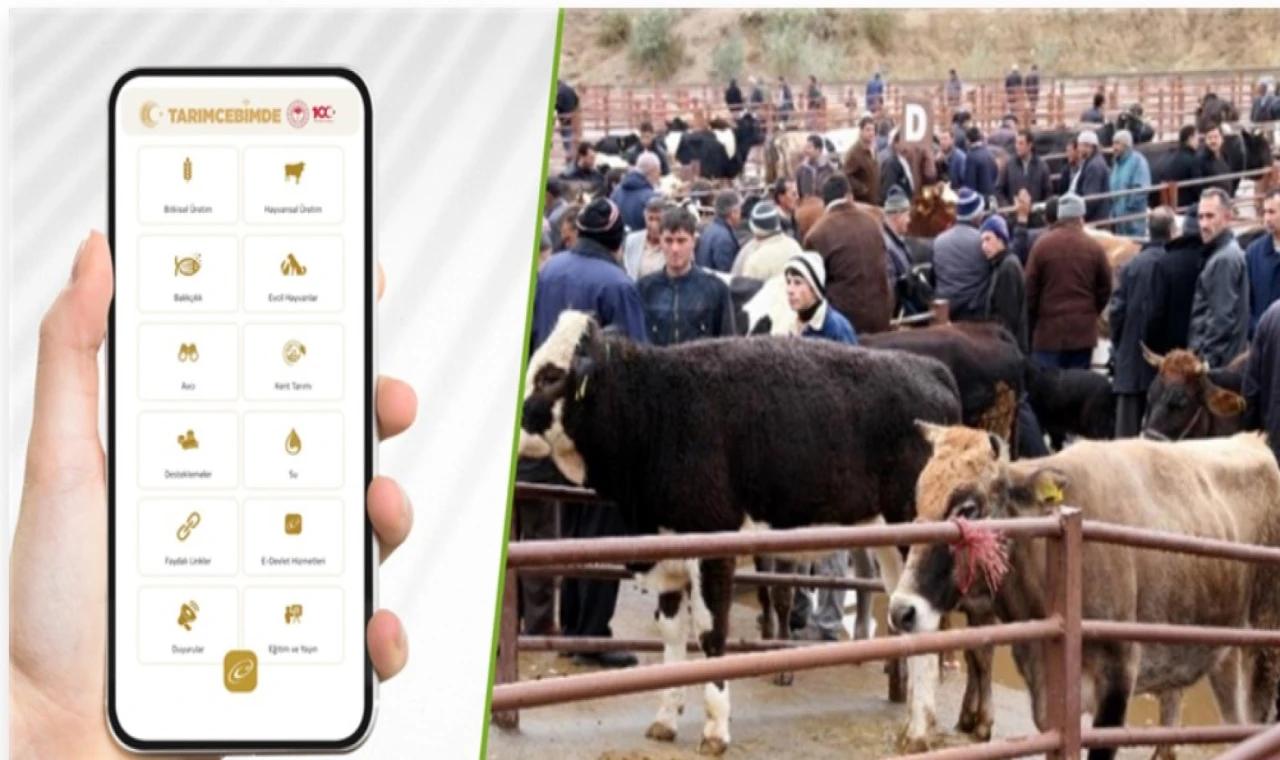 Tarım Cebimde uygulamasıyla, kurbanlıkların bilgilerine erişilebilecek