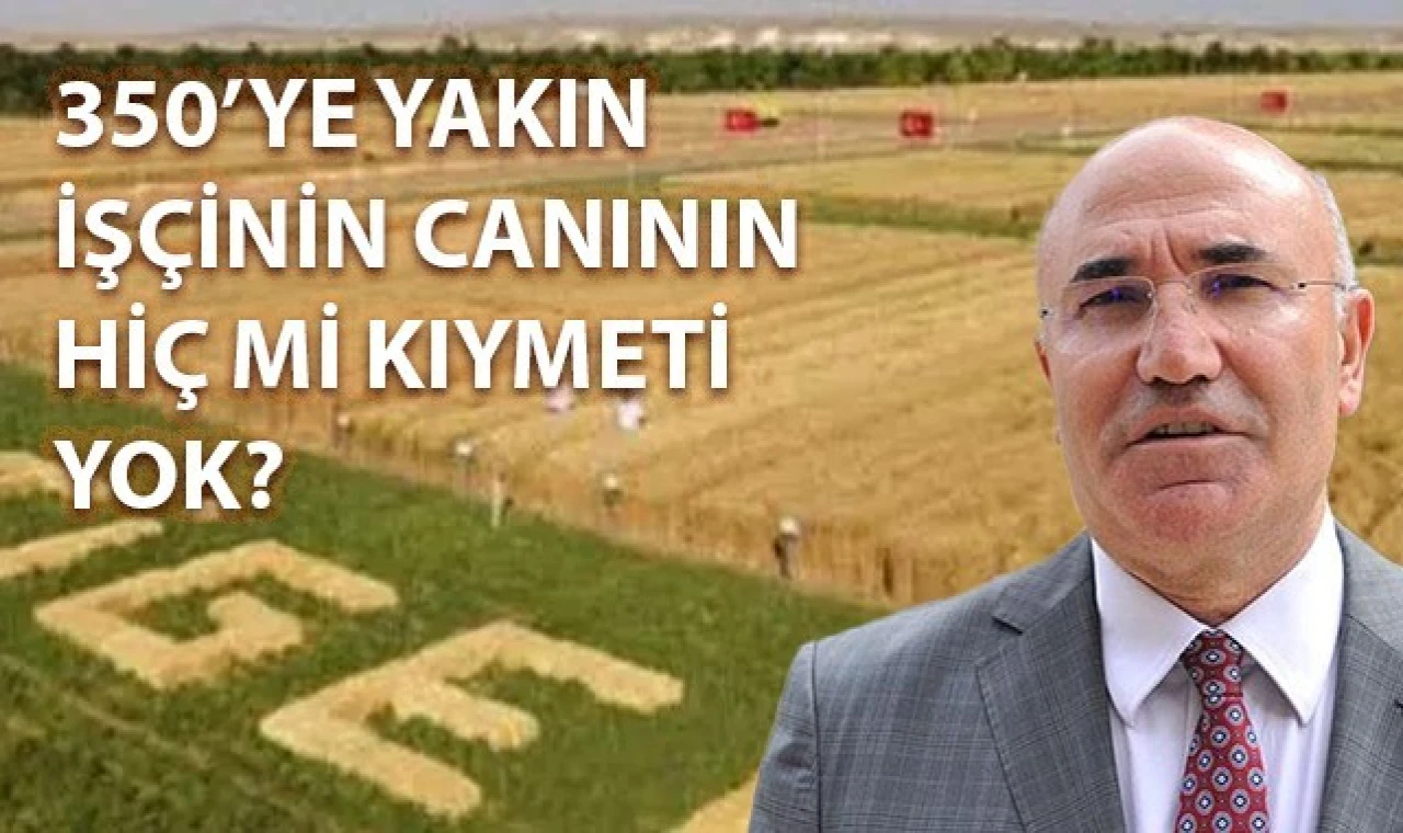 Urfa'da 350 İşçi Yemekten Zehirlendi: CHP'li Tanal Duruma Sitem Etti