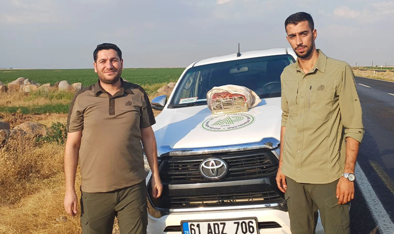 Şanlıurfa'da kaçak avcıya ceza kesildi