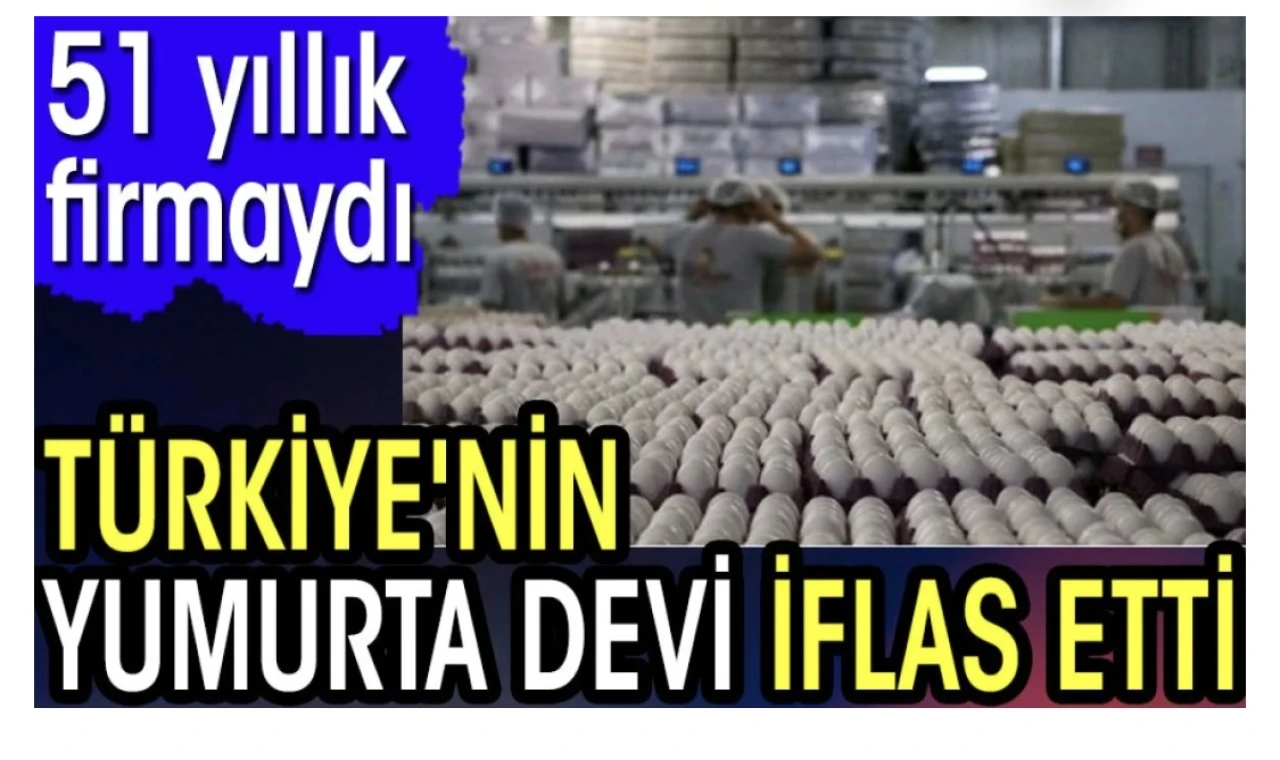 Türkiye'nin yumurta devi iflas etti. 51 yıllık firmaydı