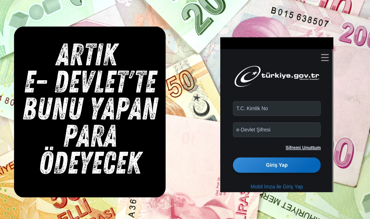 Artık e– Devlet'te bunu yapan para ödeyecek