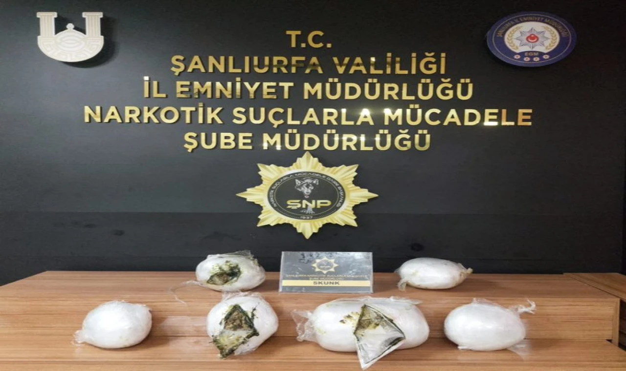 Şanlıurfa'da 14 kilo 250 gram skunk maddesi ele geçirildi